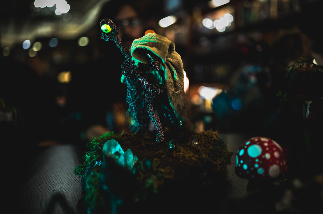 The Guide